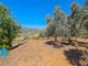 Thumbnail Land for sale in Casarabonela, Malaga, Spain