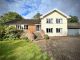 Thumbnail Detached house for sale in Home Farm Lane, Morley St. Peter, Wymondham