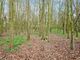 Thumbnail Land for sale in Pilgrims Way, Hollingbourne, Maidstone