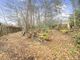 Thumbnail Bungalow for sale in Gasden Copse, Witley, Godalming