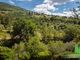 Thumbnail Country house for sale in Cortona, Cortona, Toscana