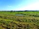 Thumbnail Farm for sale in 795Ha Property With Olive Trees, Cork, Farmland And Cattle, Castro Verde E Casével, Castro Verde, Beja, Alentejo, Portugal