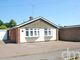 Thumbnail Detached bungalow for sale in Rosemary Crescent, Tiptree, Colchester