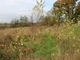 Thumbnail Land for sale in Dalscone Way, Dumfries