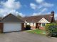 Thumbnail Detached bungalow for sale in Chinston Close, Awliscombe, Honiton