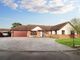 Thumbnail Detached bungalow for sale in Motts Close, Braintree