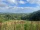 Thumbnail Land for sale in Land Forming Part Of Tredavoe Farm, Tredavoe, Penzance, Cornwall