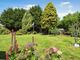 Thumbnail Bungalow for sale in Lower Platts, Ticehurst, Wadhurst, East Sussex