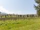 Thumbnail Villa for sale in Pelago, Firenze, Tuscany