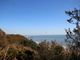 Thumbnail Studio for sale in Durley Gardens, Bournemouth