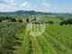 Thumbnail Villa for sale in Montepulciano, Tuscany, 53045, Italy