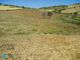 Thumbnail Land for sale in Coin, Malaga, Spain