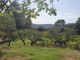 Thumbnail Villa for sale in Correns, Var Countryside (Fayence, Lorgues, Cotignac), Provence - Var