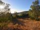 Thumbnail Land for sale in 8100 Alte, Portugal