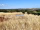 Thumbnail Farm for sale in 103 0000 Sq. m. Of Land For Cattle And Cereals, Portugal