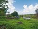 Thumbnail Detached bungalow for sale in The Avenue, West Quantoxhead, Taunton