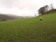 Thumbnail Property for sale in Penmaendyfi, Cwrt, Machynlleth