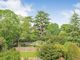 Thumbnail Flat for sale in Wolsey Road, East Molesey