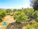 Thumbnail Land for sale in Casarabonela, Malaga, Spain