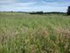 Thumbnail Land for sale in Greenside Farm, Hartburn, Morpeth, Northumberland