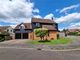Thumbnail Detached house for sale in Bittern Close, Kelvedon, Essex