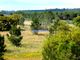 Thumbnail Land for sale in Property 70Ha, Santarém, Salvaterra De Magos, Muge, Salvaterra De Magos, Santarém, Central Portugal