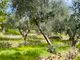 Thumbnail Country house for sale in Strada Morghe, Dolceacqua, Imperia, Liguria, Italy