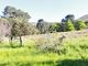 Thumbnail Farmhouse for sale in Hemel &amp; Aarde Valley, Hermanus Rural, Cape Town, Western Cape, South Africa
