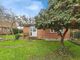 Thumbnail Semi-detached bungalow for sale in Cambridge Road, Stretham, Ely