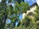 Thumbnail Villa for sale in Orvieto, Terni, Umbria