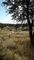 Thumbnail Land for sale in Windhoek, Windhoek, Namibia
