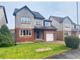 Thumbnail Detached house to rent in Campsie Court, Larkhall