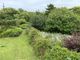 Thumbnail Equestrian property for sale in Ladydowns Lane, Newmill, Penzance