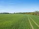 Thumbnail Land for sale in Rawhall Lane, Beetley, Dereham, Norfolk