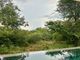 Thumbnail Detached house for sale in 175 Happyland, 175 Snake Eagle, Raptors View Wildlife Estate, Hoedspruit, Limpopo Province, South Africa