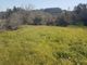Thumbnail Land for sale in Casalinho, Pombal (Parish), Pombal, Leiria, Central Portugal