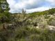 Thumbnail Land for sale in Spain, Mallorca, Puigpunyent, Galilea