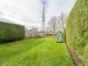 Thumbnail Semi-detached house for sale in Little Green, Cheveley, Newmarket