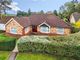 Thumbnail Bungalow for sale in Masons Way, Pulborough