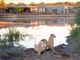 Thumbnail Lodge for sale in 1 Guernsey, 1 Guernsey, Thornybush, Hoedspruit, Limpopo Province, South Africa
