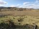 Thumbnail Land for sale in Drumfearn, Isle Ornsay, Isle Of Skye