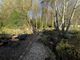 Thumbnail Flat for sale in Shore Road, Strone, Argyll And Bute