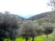 Thumbnail Land for sale in 350.000m2 Of Rustic Land With Olive Groves, Portugal