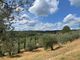 Thumbnail Farm for sale in Monte San Savino, Arezzo, Tuscany, Italy