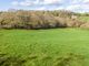 Thumbnail Land for sale in Offwell, Honiton