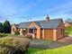 Thumbnail Bungalow for sale in Pont Robert, Meifod, Powys