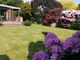 Thumbnail Bungalow to rent in Maturin Close, Lymington