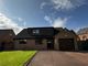 Thumbnail Detached bungalow for sale in The Willows, Carrville, Durham