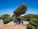 Thumbnail Villa for sale in 07769 Cala Morell, Illes Balears, Spain