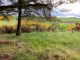 Thumbnail Land for sale in Trentham Farm Steading, Skelbo, Dornoch, Sutherland